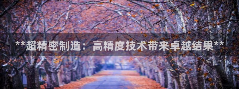 彩神网官网登录：**超精密制造：高精度技术带来卓越结果**