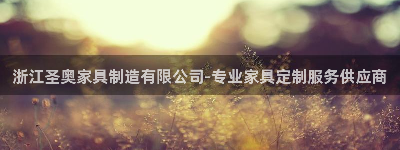 天天赢彩神