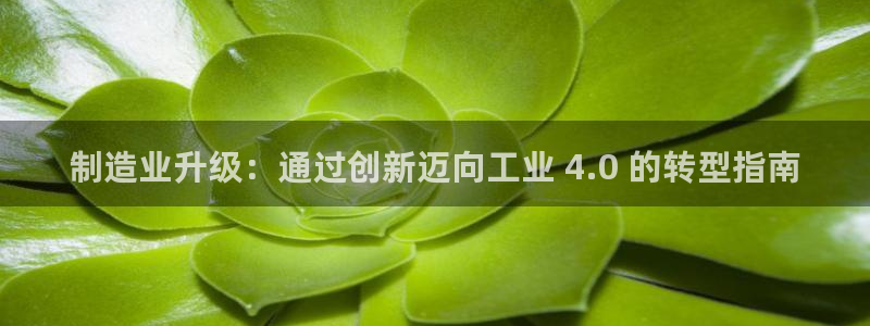 彩神V官网