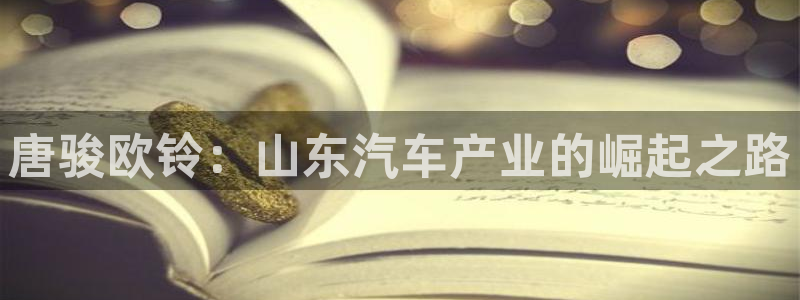 所有彩神购买首页都一样吗：唐骏欧铃：山东汽车产业的崛起之路