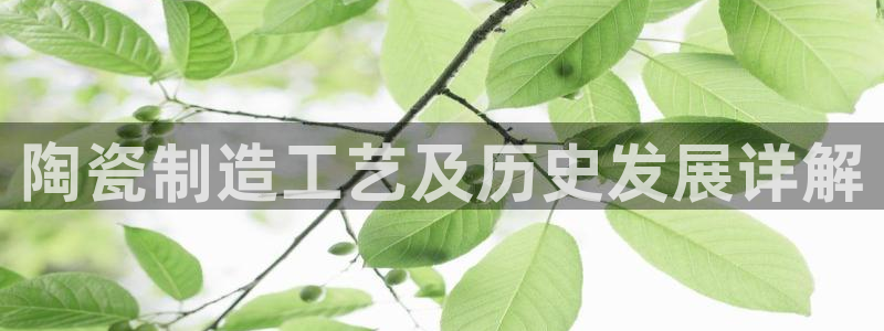 彩神8彩平台客服：陶瓷制造工艺及历史发展详解