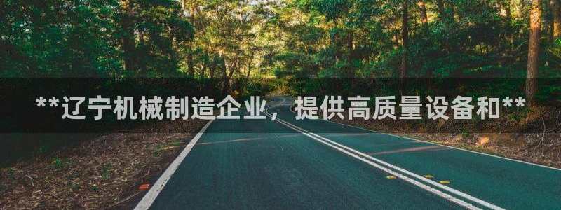 彩神velcome购彩大厅：**辽宁机械制造企业，提供高质量设备和**