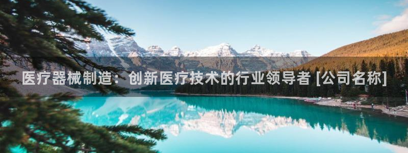 下载彩神争霸谁与我争锋：医疗器械制造：创新医疗技术的行业领导者 [公司名称]