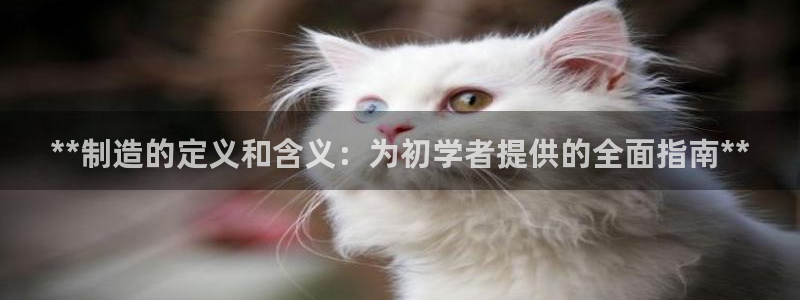 彩神合法吗.是国家认可的吗：**制造的定义和含义：为初学者提供的全面指南**