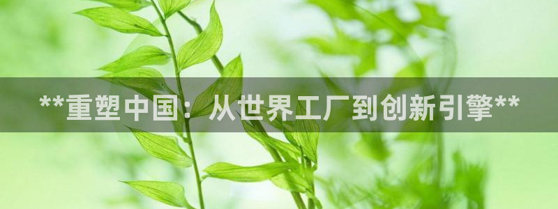 所有彩神购买首页：**重塑中国：从世界工厂到创新引擎**