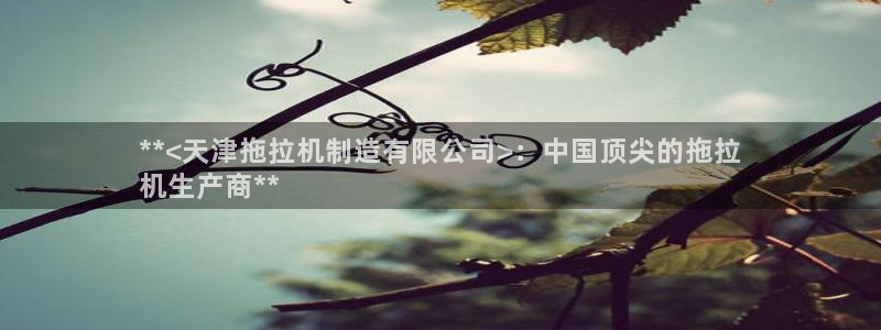 彩神iv真的能赚钱吗：**<天津拖拉机制造有限公司>：中国顶尖的拖拉
机生产商**