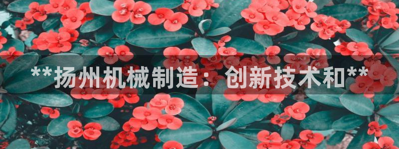 彩神旗下有哪些平台：**扬州机械制造：创新技术和**