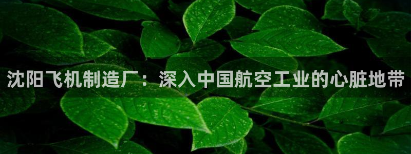 所有彩神购买首页都一样吗：沈阳飞机制造厂：深入中国航空工业的心脏地带