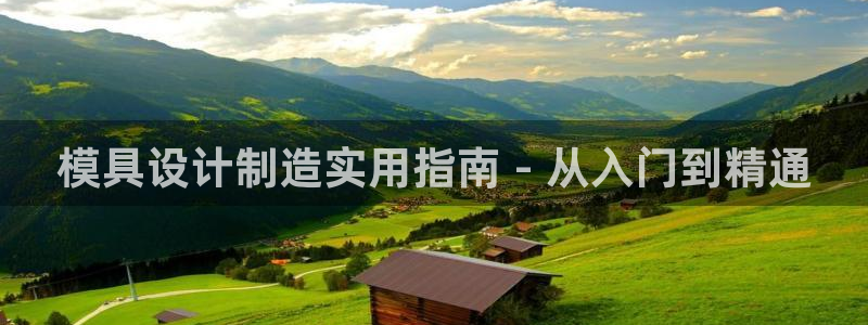 彩神旗下有哪些平台可以看：模具设计制造实用指南 - 从入门到精通