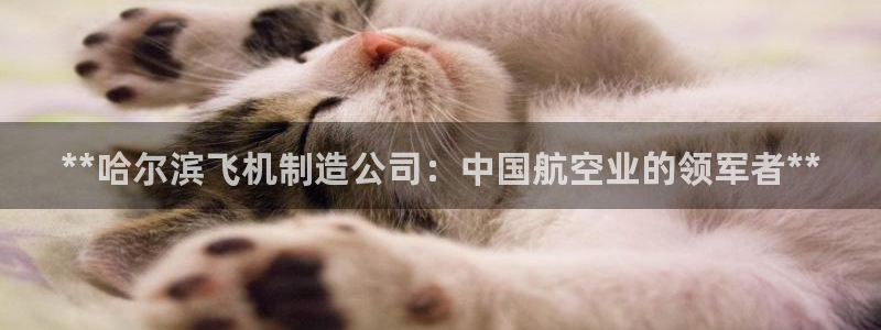 彩神赢的钱是哪里来的啊：**哈尔滨飞机制造公司：中国航空业的领军者**
