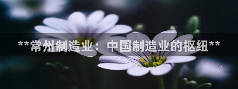 彩神vlll(中国)百度百科