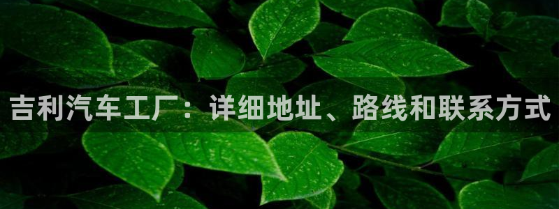 新版彩神v8登录不了：吉利汽车工厂：详细地址、路线和联系方式