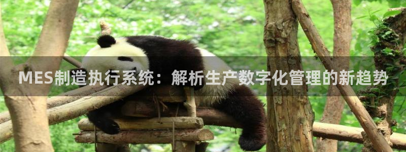 彩神广告有限公司：MES制造执行系统：解析生产数字化管理的新