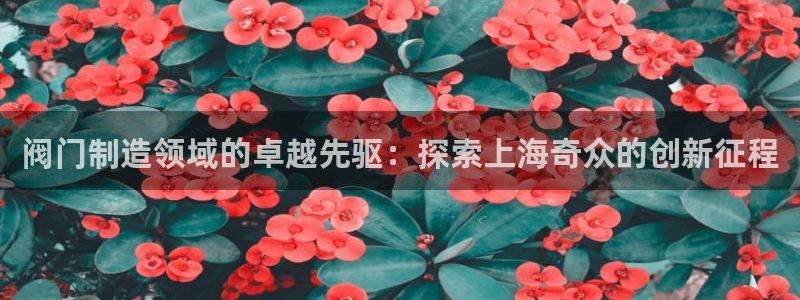 彩神网合法吗