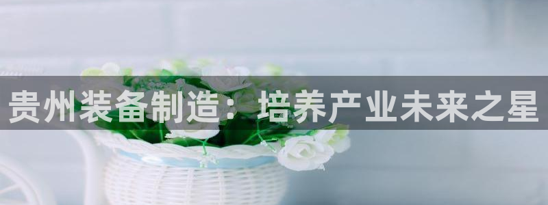 新版彩神v8登录