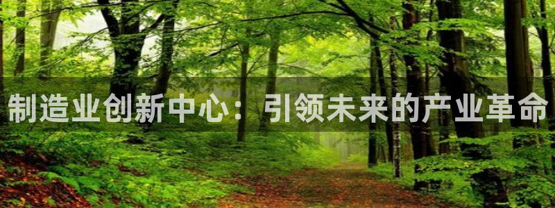 彩神天下专家专栏：制造业创新中心：引领未来的产业革命