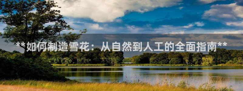 彩神v1破解器：**如何制造雪花：从自然到人工的全面指南**