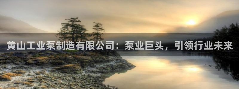 彩神ⅴll是什么样平台：黄山工业泵制造有限公司：泵业巨头，引领行业未来