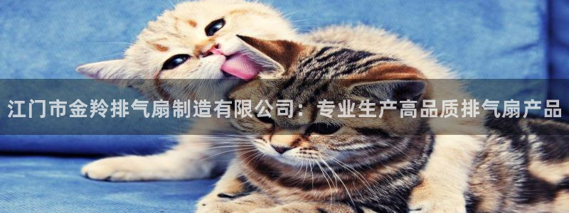 彩神ix是真的吗