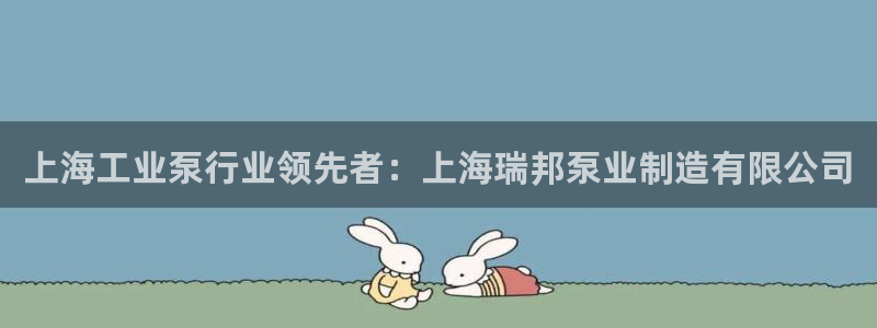 彩神争霸官方下载：上海工业泵行业领先者：上海瑞邦泵业制造有限