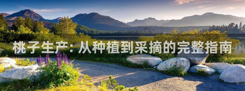 彩神8下载安卓版-彩神8(可提现)官网版1.0.0：桃子生产