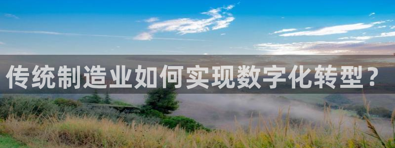 彩神天下专家专栏：传统制造业如何实现数字化转型？