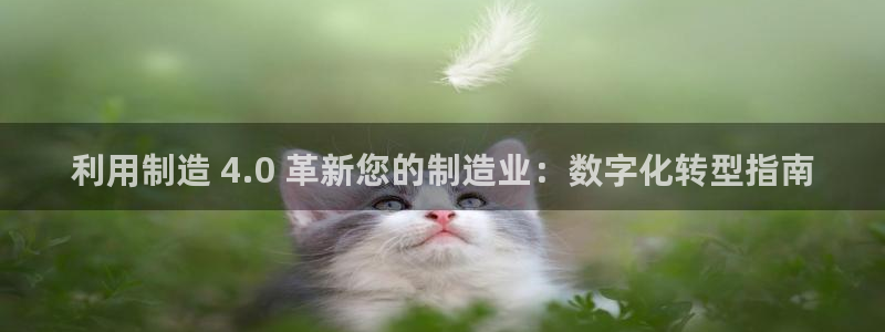 彩神v彩搜狗：利用制造 4.0 革新您的制造业：数字化转型指南