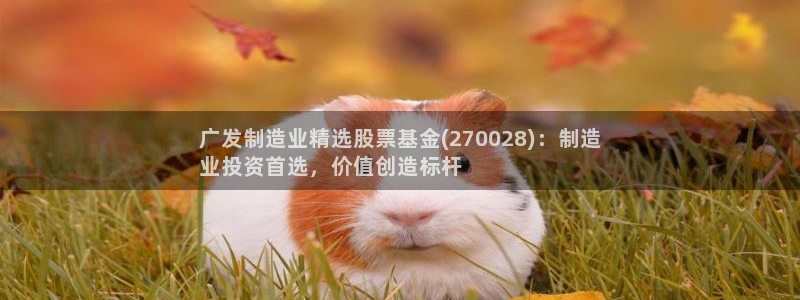 下载彩神乐发V